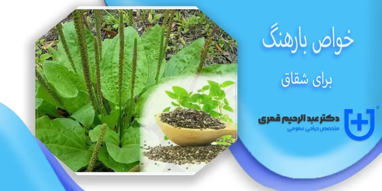 خواص بارهنگ
